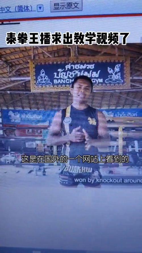 拳击成人泰拳教学视频,成人泰拳教学视频精华回顾
