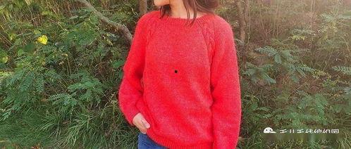 毛衣绣花视频教程成人,跟随毛衣绣花视频教程，成就您的手工艺术之旅