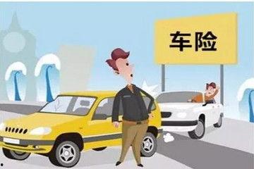 成人买车险视频,视频揭秘保险选择与技巧