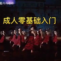 成人舞蹈王老师视频大全