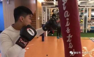 成人打拳击上课视频