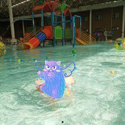 斯波特成人游泳视频,轻松入门，畅游泳池的秘诀解析