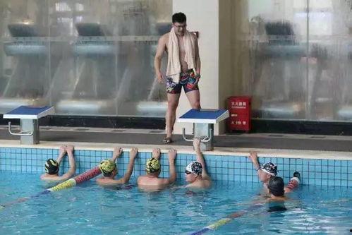 斯波特成人游泳视频,轻松入门，畅游泳池的秘诀解析