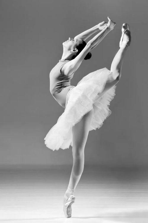 芭蕾成人全部动作视频,芭蕾舞成人基础动作视频教程概览