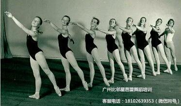 芭蕾成人全部动作视频,芭蕾舞成人基础动作视频教程概览