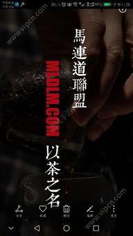 成人茶艺视频教程下载