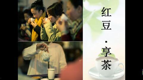 成人茶艺视频教程下载