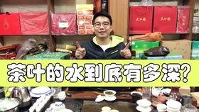 成人茶艺视频教程下载