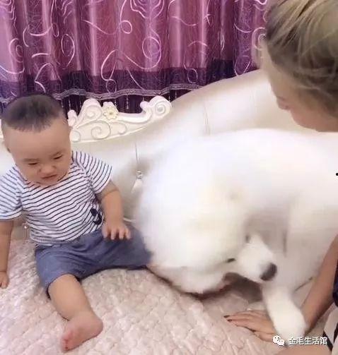 成人假装婴儿视频下载