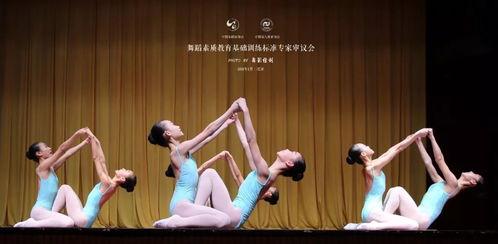 跳舞成人舞基础教学视频,成人舞基础教学视频精华概述