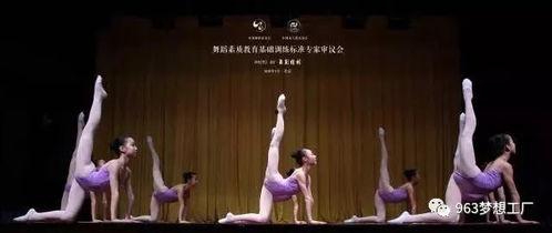 跳舞成人舞基础教学视频,成人舞基础教学视频精华概述