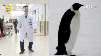 正确坐姿视频成人,坐姿中的生活哲学
